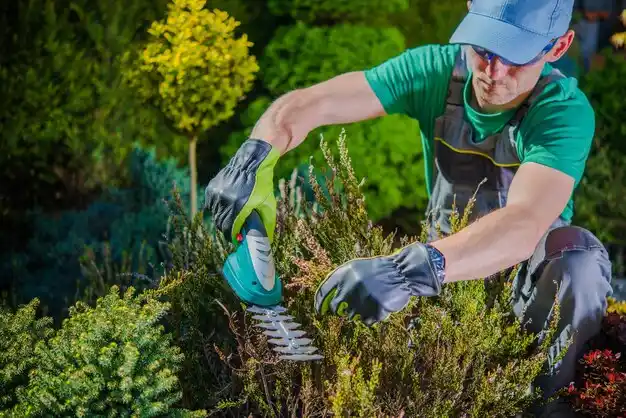 landscaping services Vassar